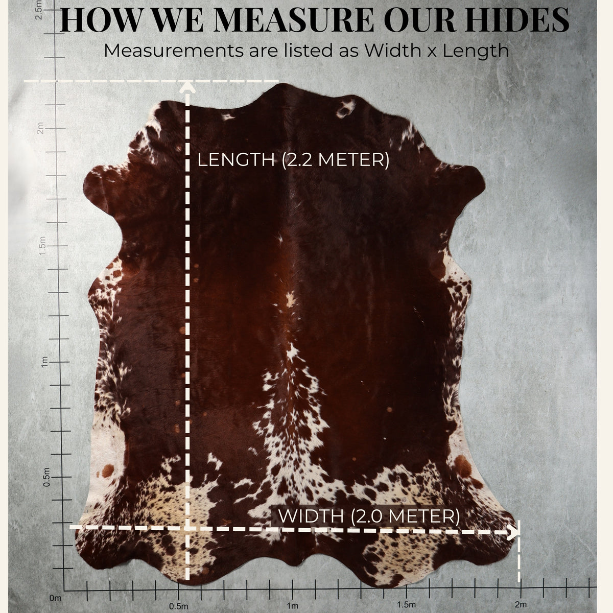 Premium Nguni Hide - Chestnut & White Speckled | AAS8295 | 2.2m x 2.4m