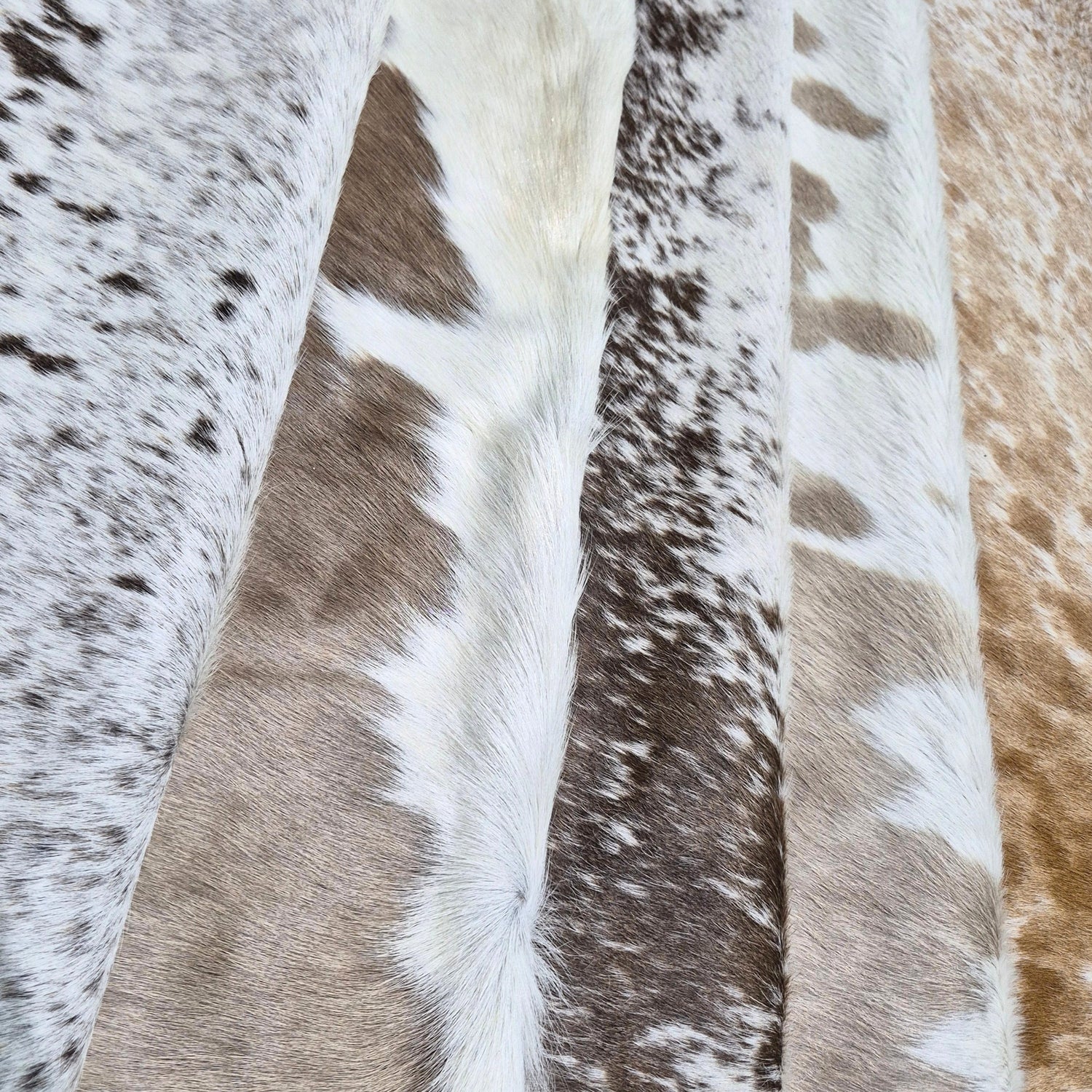 Beige & Taupe Nguni Hides