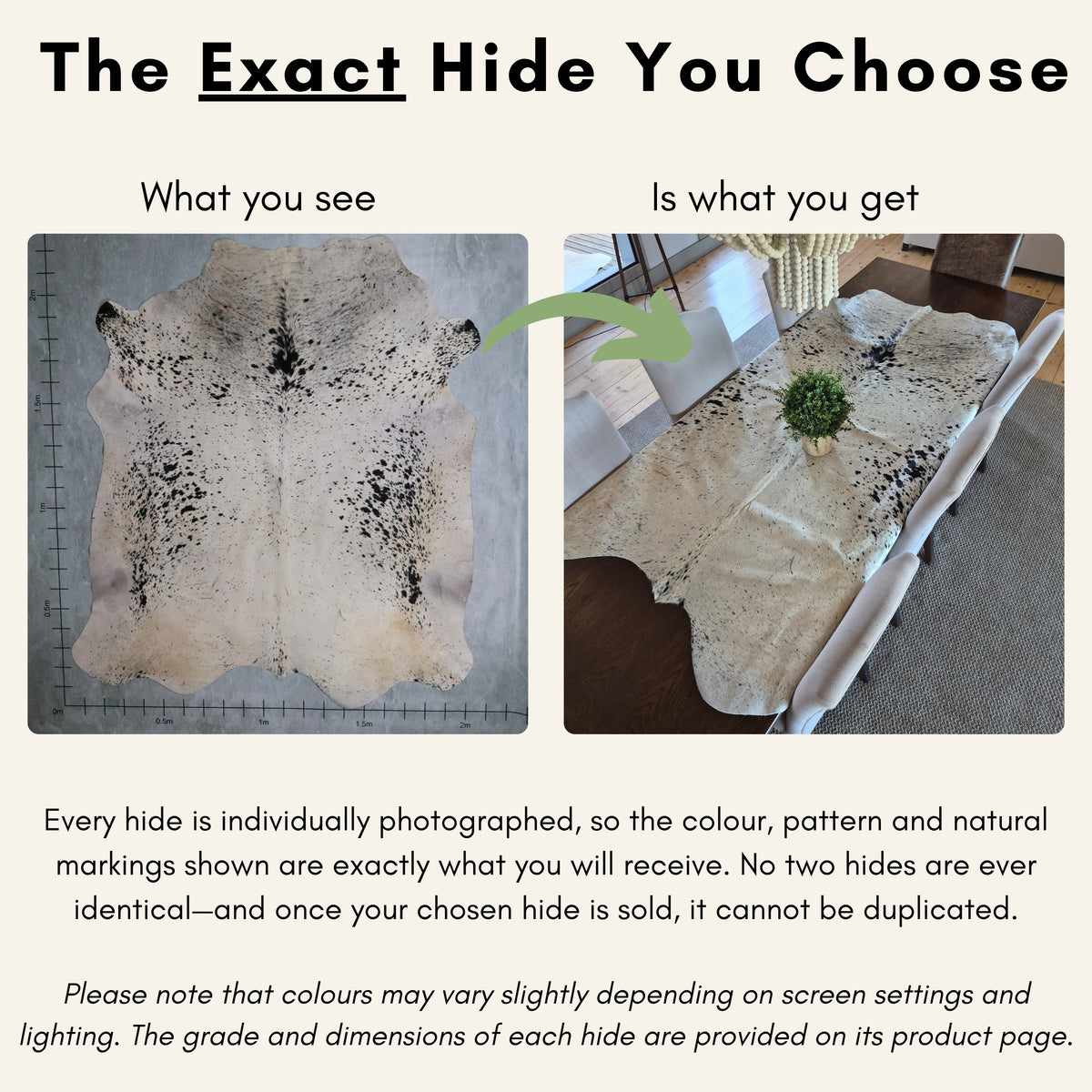 Select Nguni Hide - Brown & White| AGD7131 | 1.8m X 2.2m