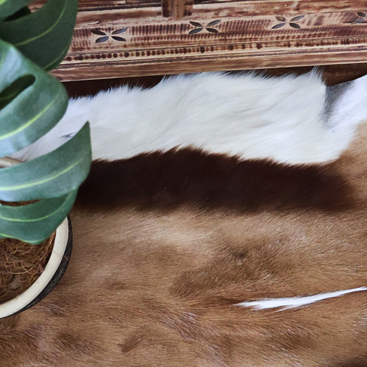 Springbok Hide