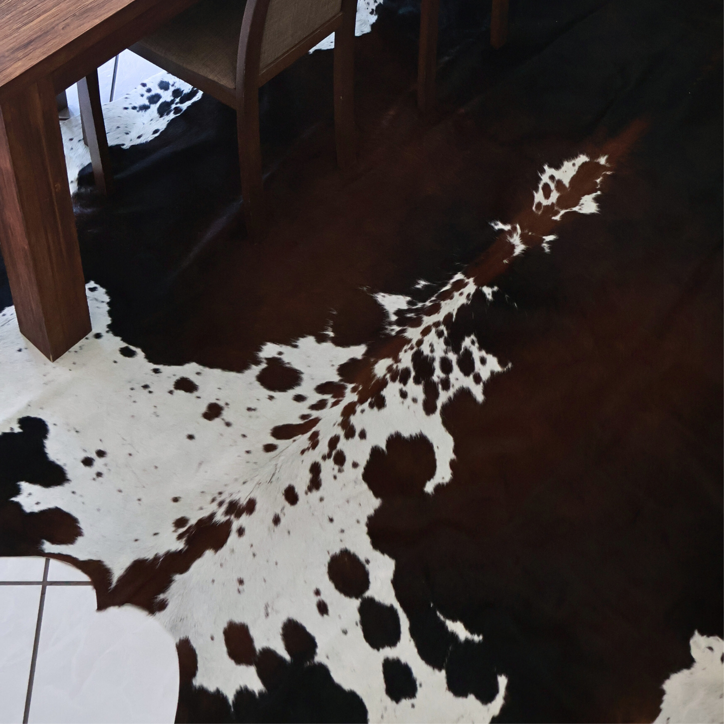 Tri-Colour Nguni Hide #TRI2788