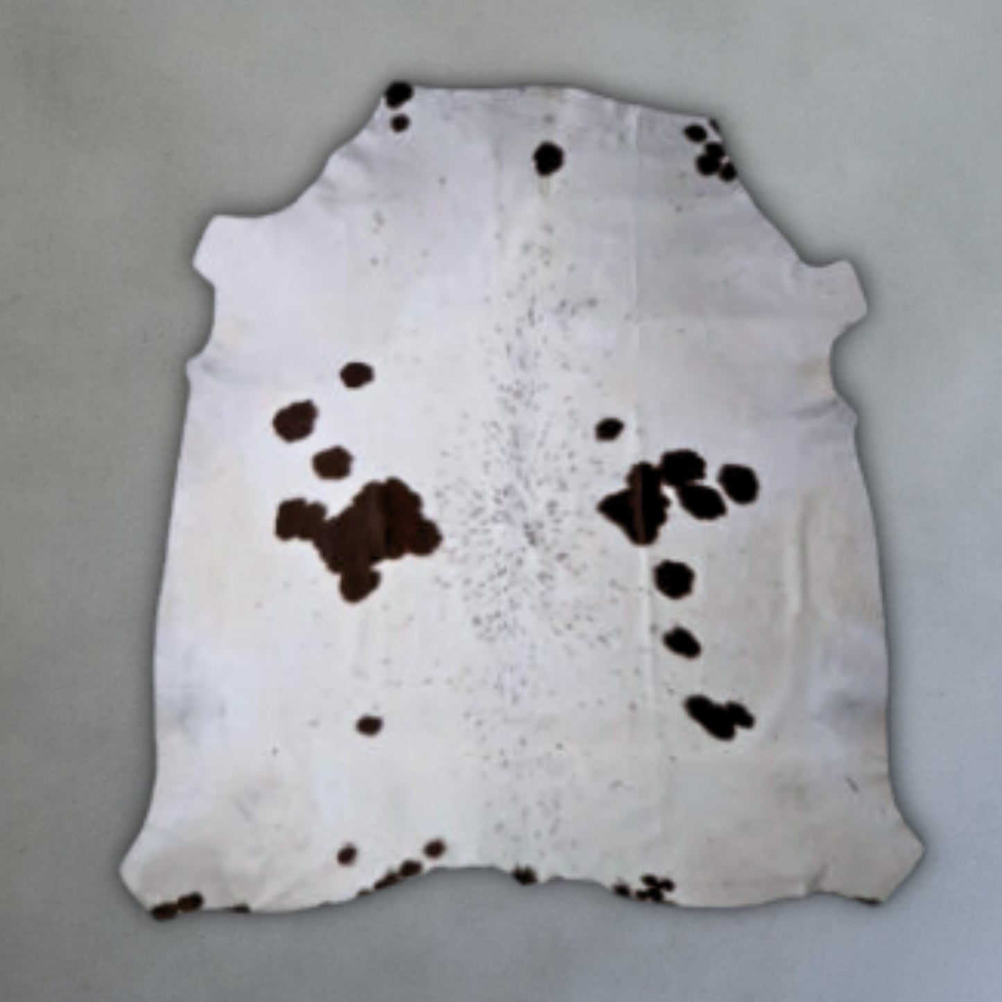 Premium Nguni Hide #AAG4368