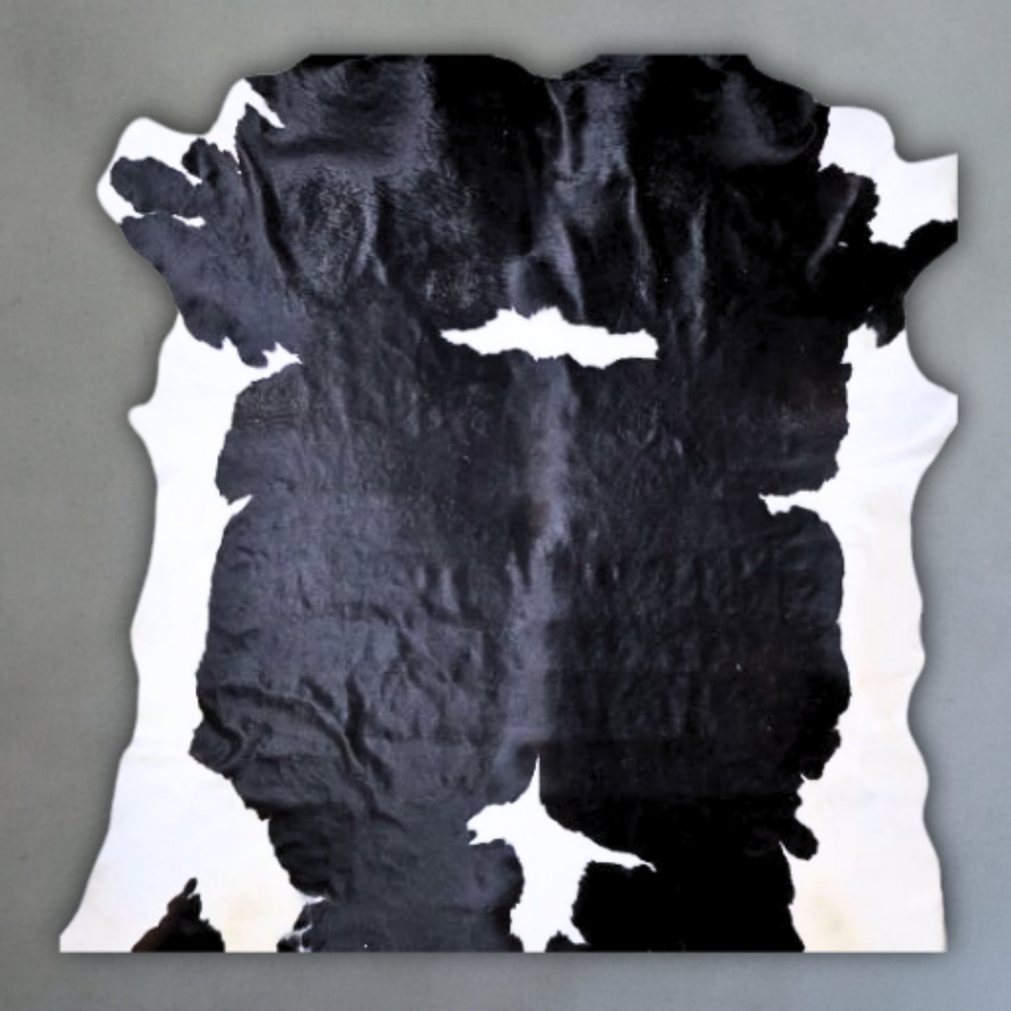 Premium Nguni Hide #AAG4801