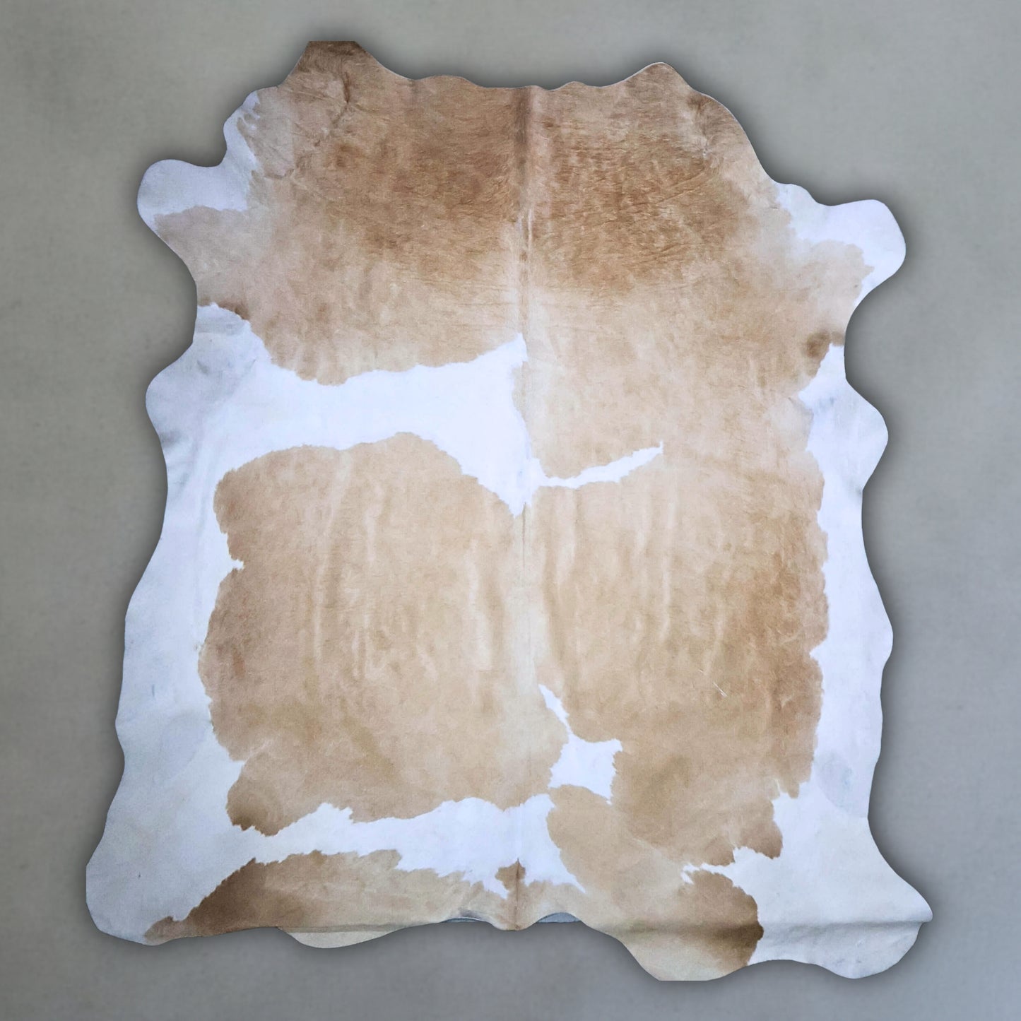 Premium Nguni Hide #AAG4960