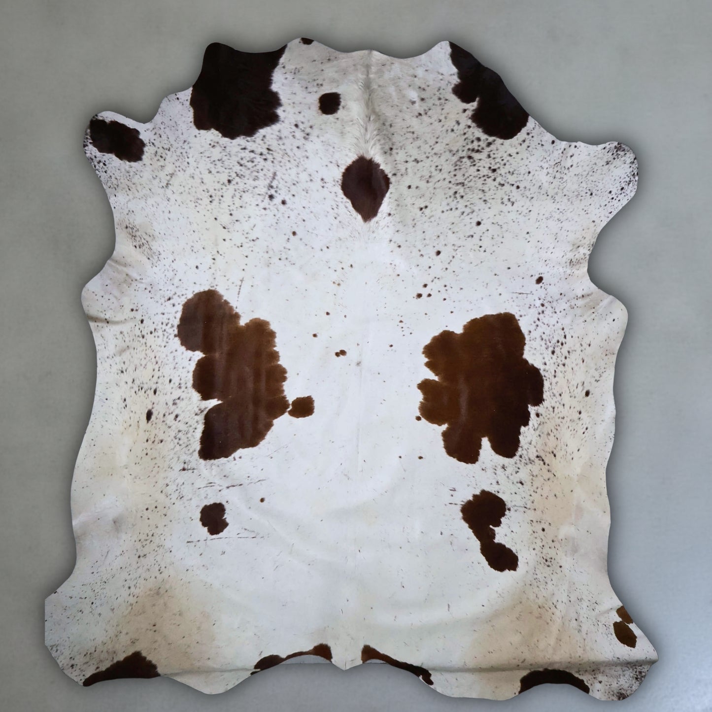 Premium Nguni Hide #AAG4963