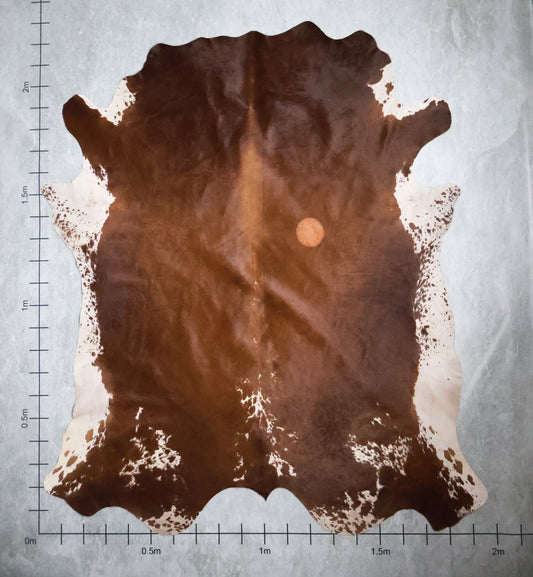 Premium Nguni Hide #AAG4979