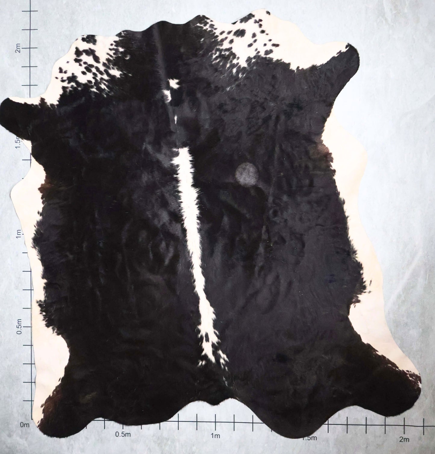 Premium Nguni Hide #AAG4981