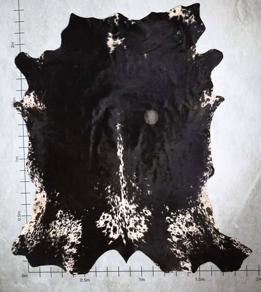 Premium Nguni Hide #AAG4983