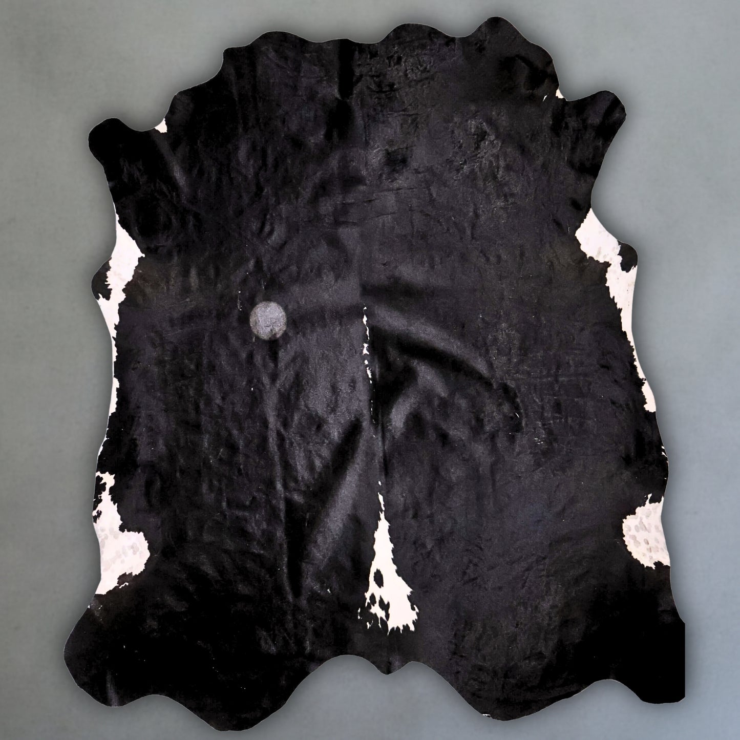 Premium Nguni Hide #AAG4986