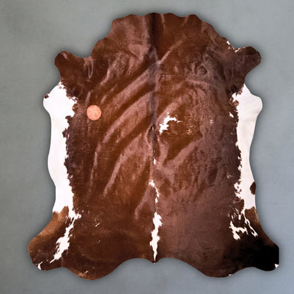 Premium Nguni Hide #AAG4990