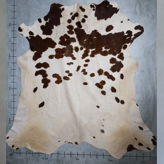 Premium Nguni Hide #AAG5013