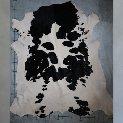 Premium Nguni Hide #AAG5031