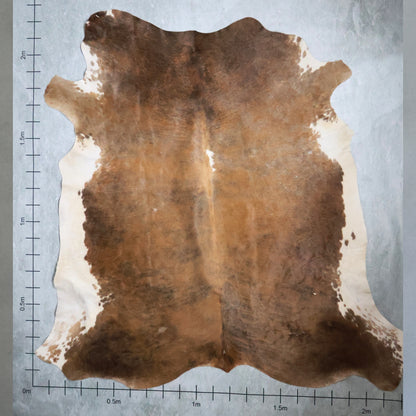 Premium Nguni Hide #AAG5032