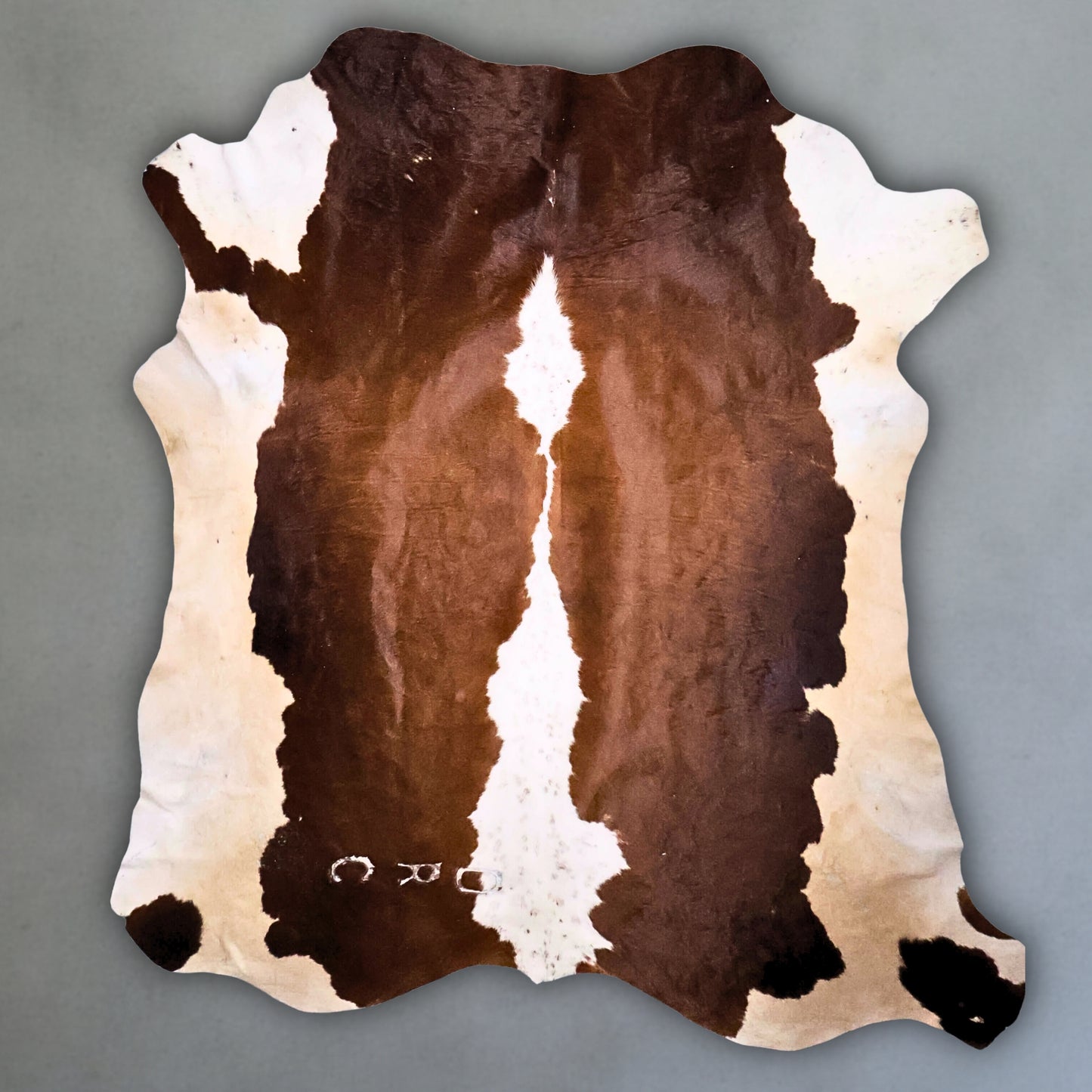 Premium Nguni Hide #AAG5035