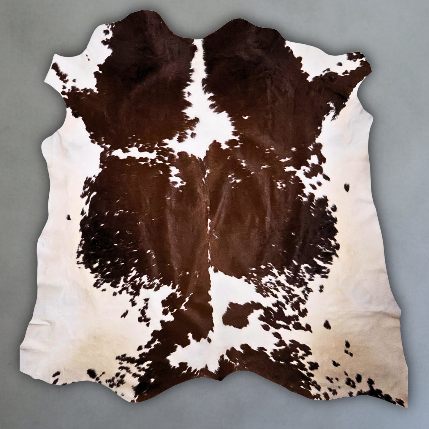 Premium Nguni Hide #AAG5036