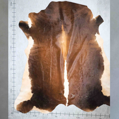 Premium Nguni Hide #AAG5039