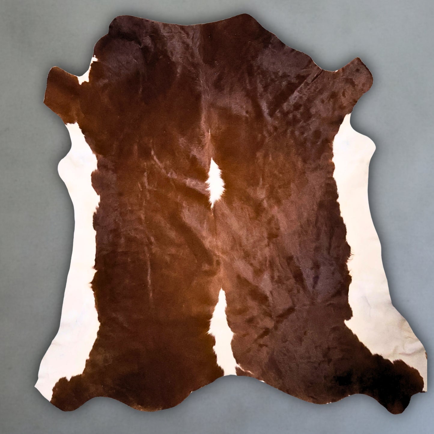 Premium Nguni Hide #AAG5040