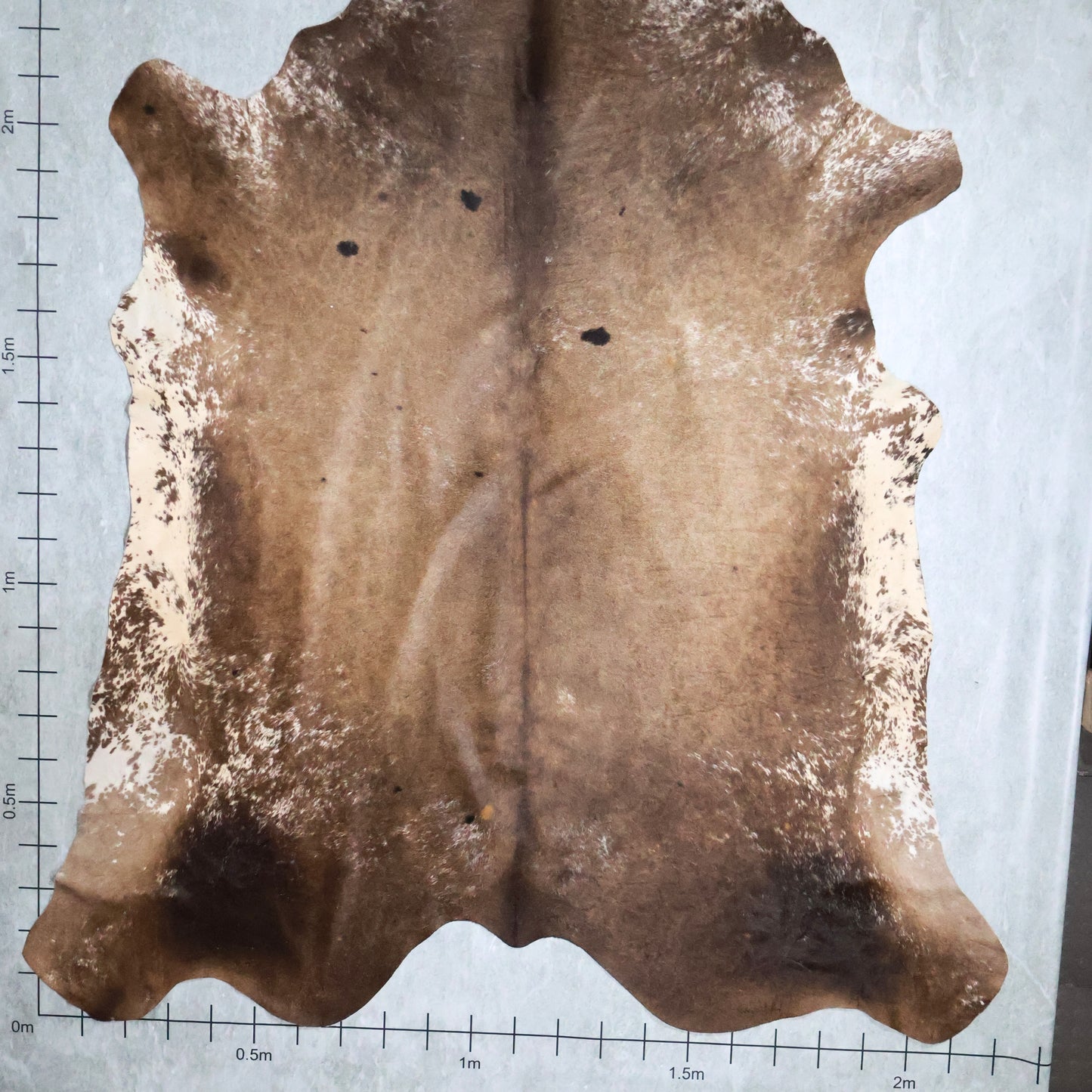 Premium Nguni Hide #AAG5054