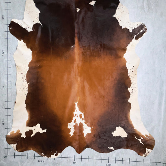 Premium Nguni Hide #AAG5063