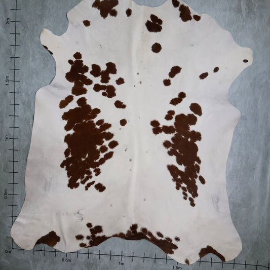 Premium Nguni Hide #AAG5064