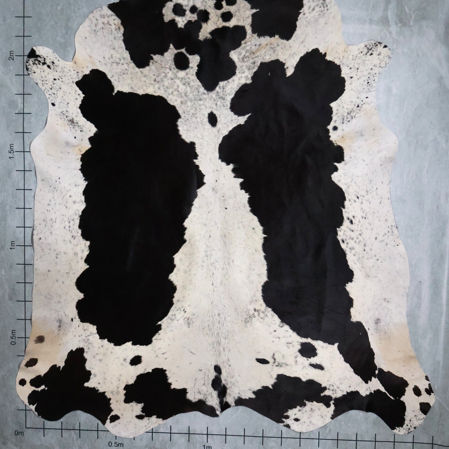 Premium Nguni Hide #AAG5079