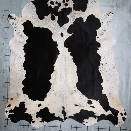 Premium Nguni Hide #AAG5079