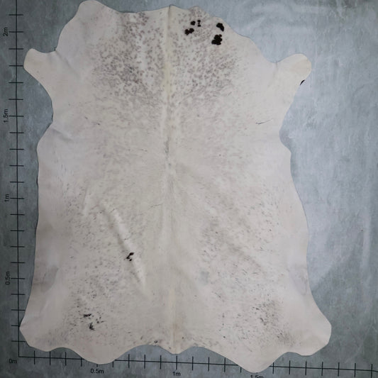 Premium Nguni Hide #AAG5080