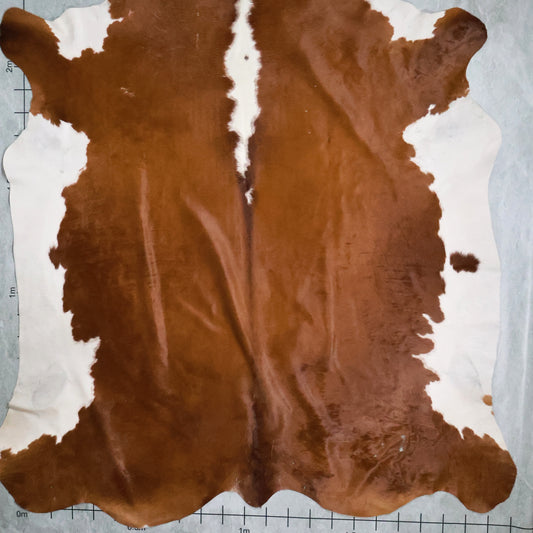 Premium Nguni Hide #AAG5081