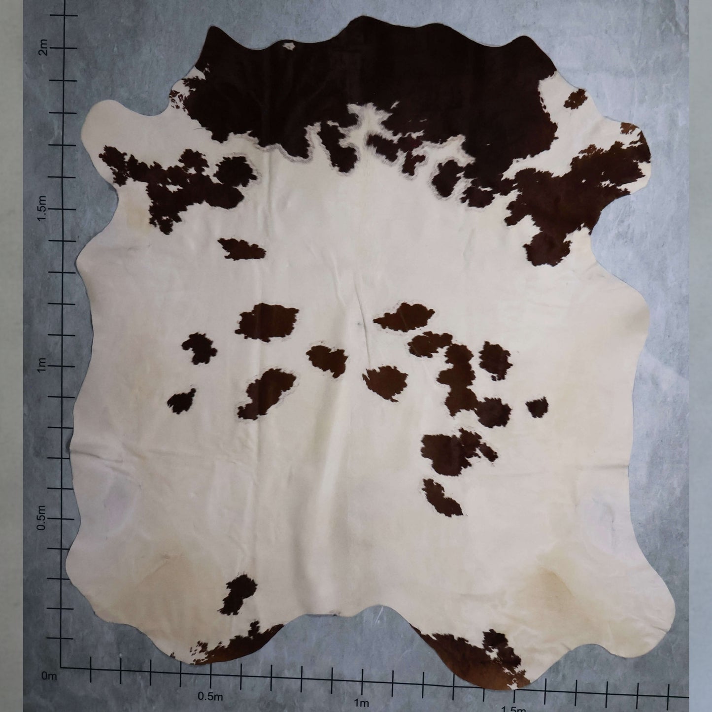 Premium Nguni Hide #AAG5095