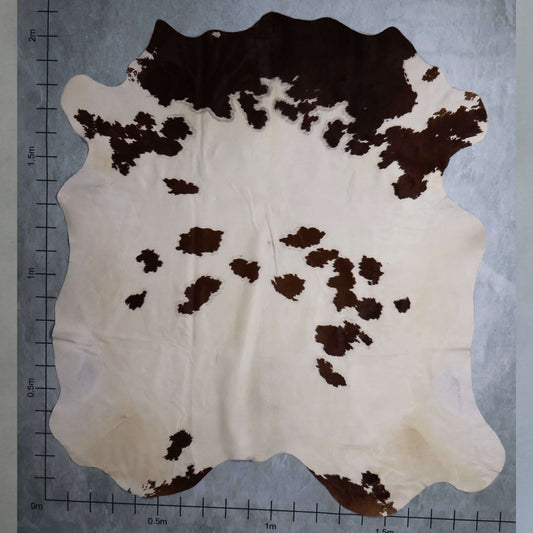 Premium Nguni Hide #AAG5095
