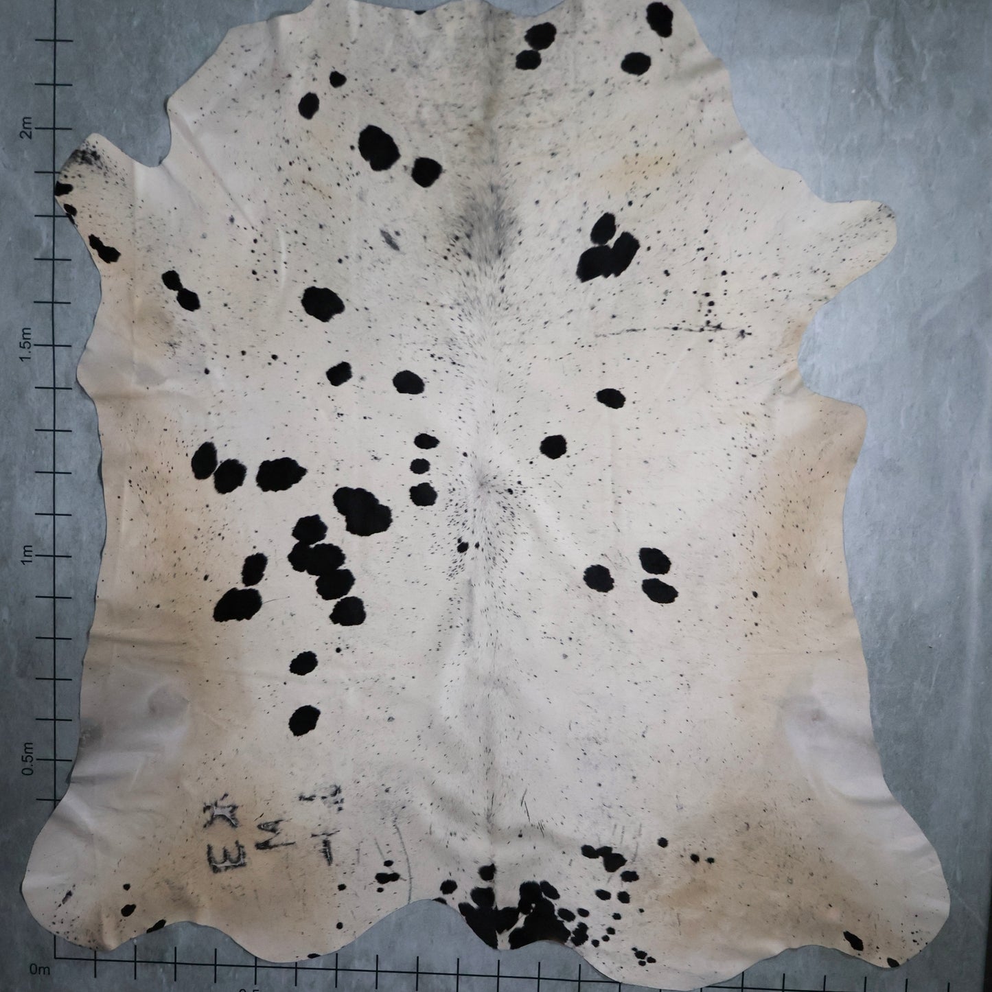 Premium Nguni Hide #AAG5104