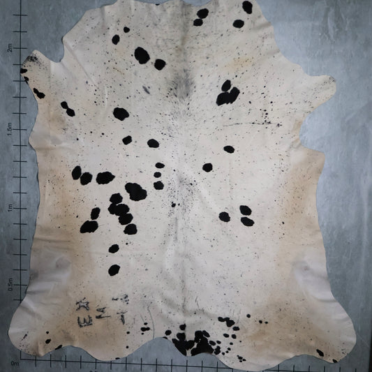 Premium Nguni Hide #AAG5104