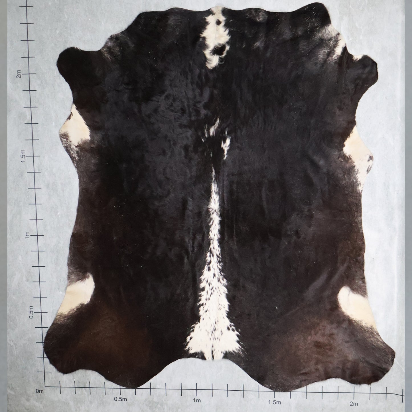 Premium Nguni Hide #AAG5156