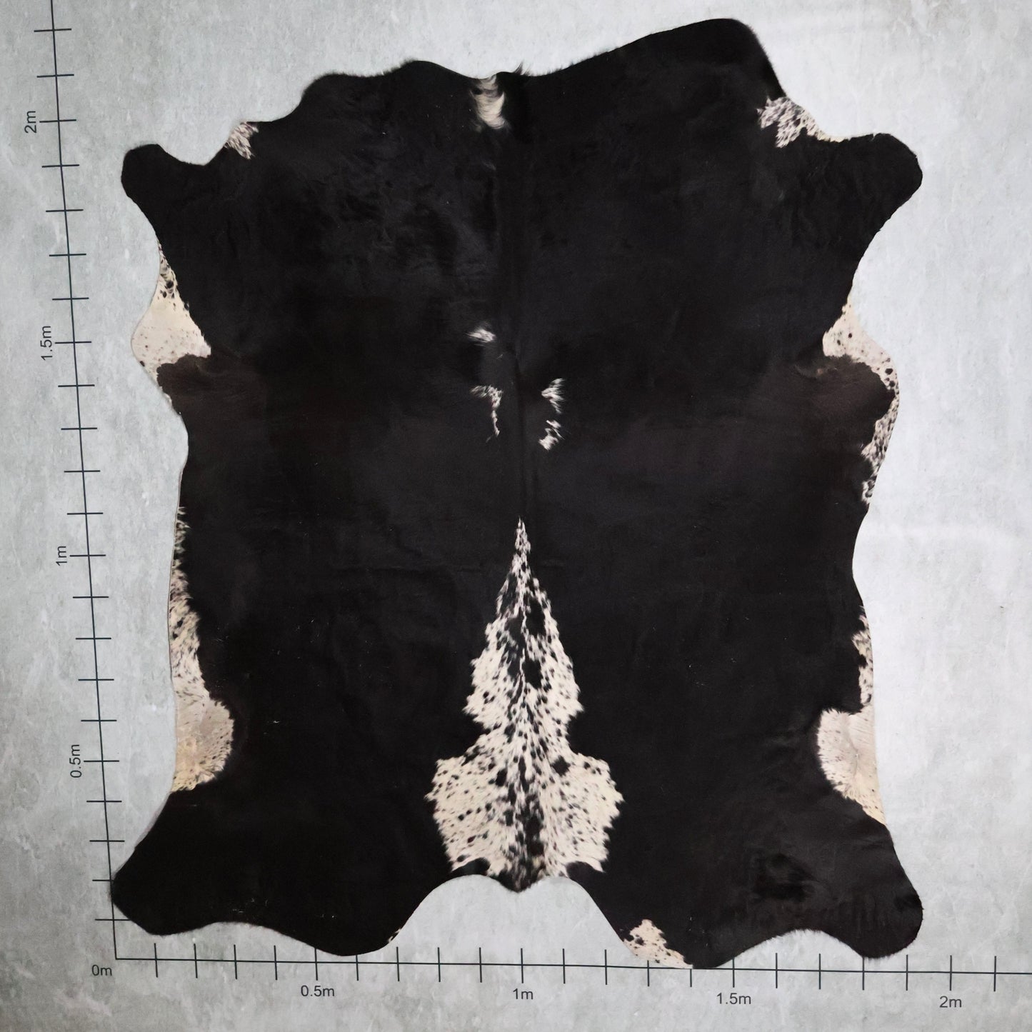 Premium Nguni Hide #AAG5157