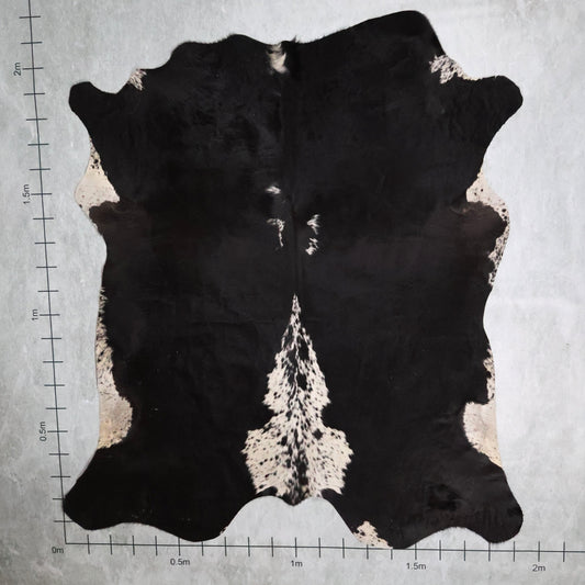 Premium Nguni Hide #AAG5157