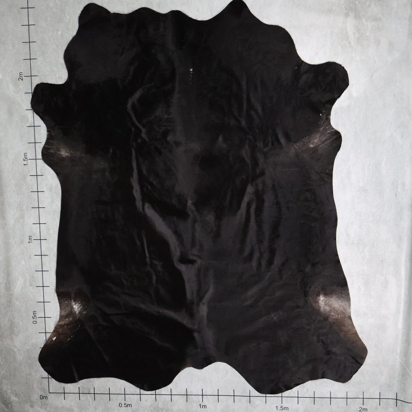 Premium Nguni Hide #AAG5164