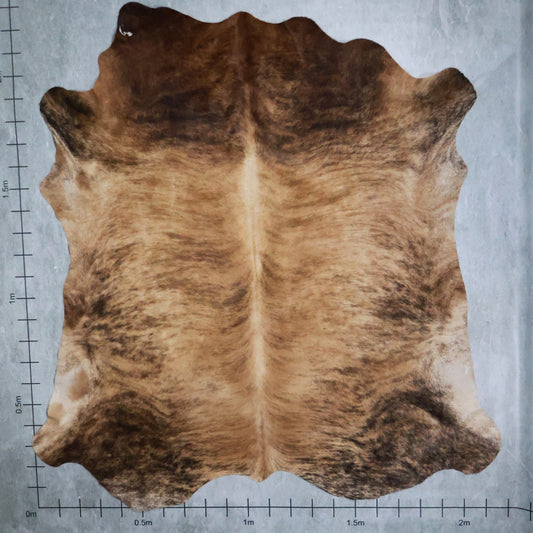 Premium Nguni Hide Brindle #AAG5180