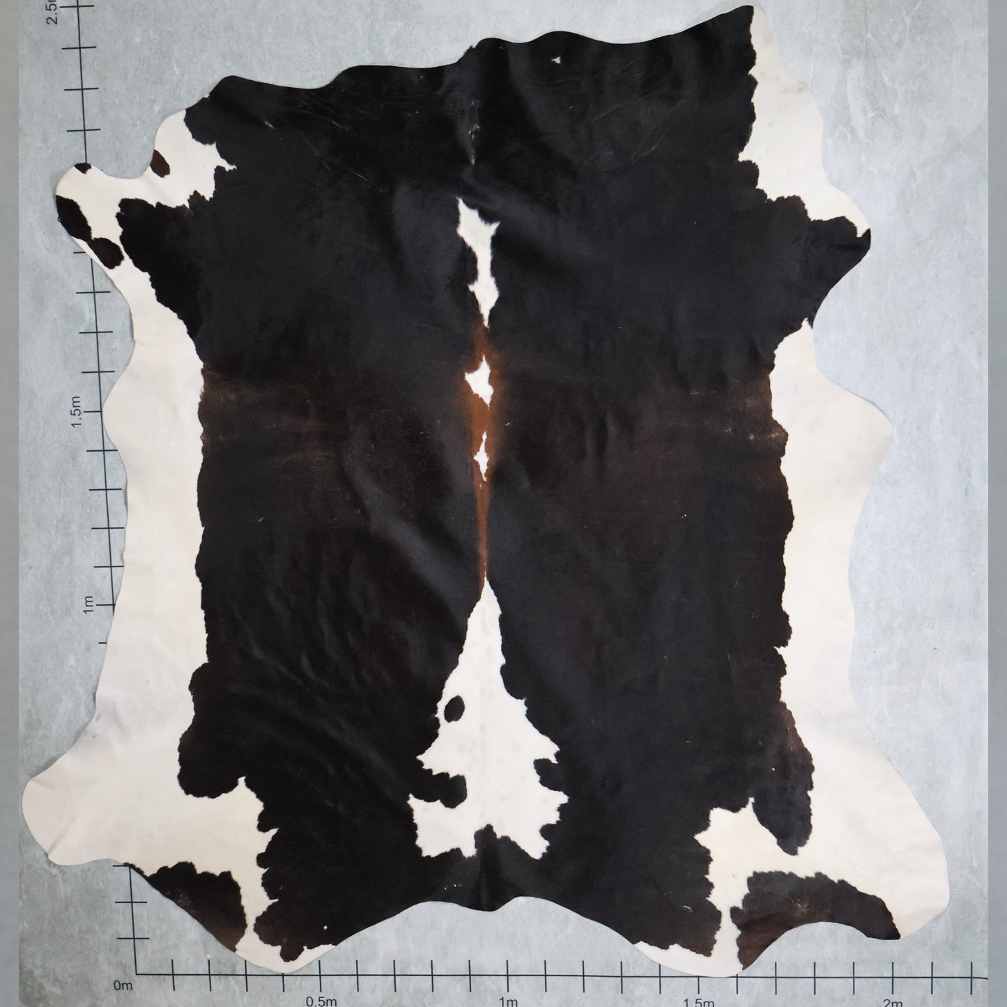 Premium Nguni Hide #AAG5191