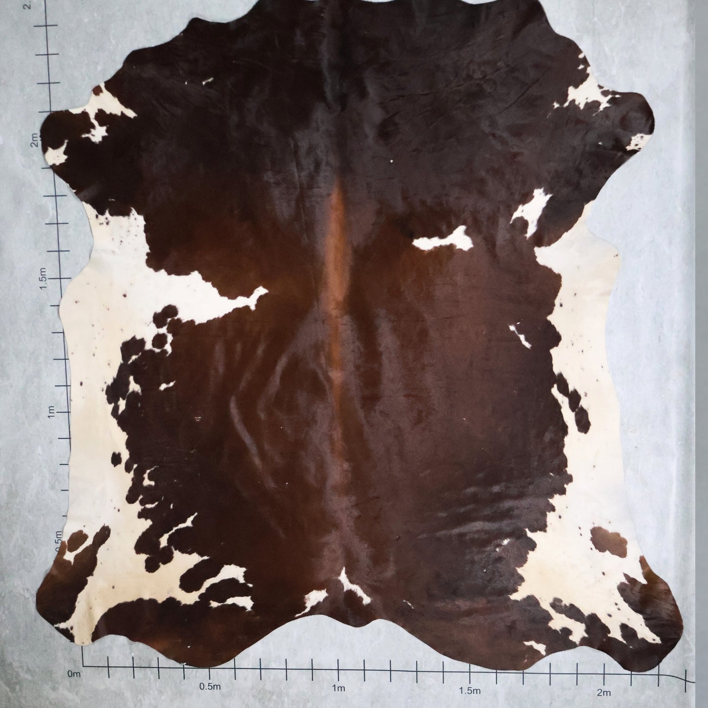 Premium Nguni Hide #AAG5202