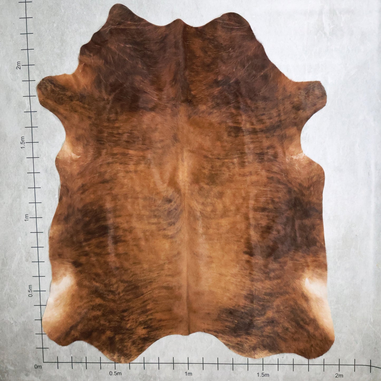 Premium Nguni Hide Brindle #AAG5218