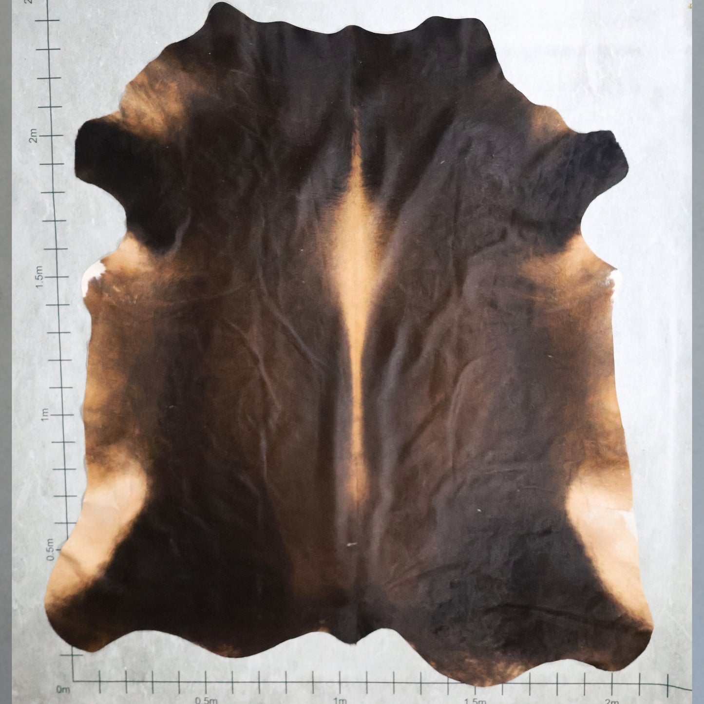 Premium Nguni Hide #AAG5220