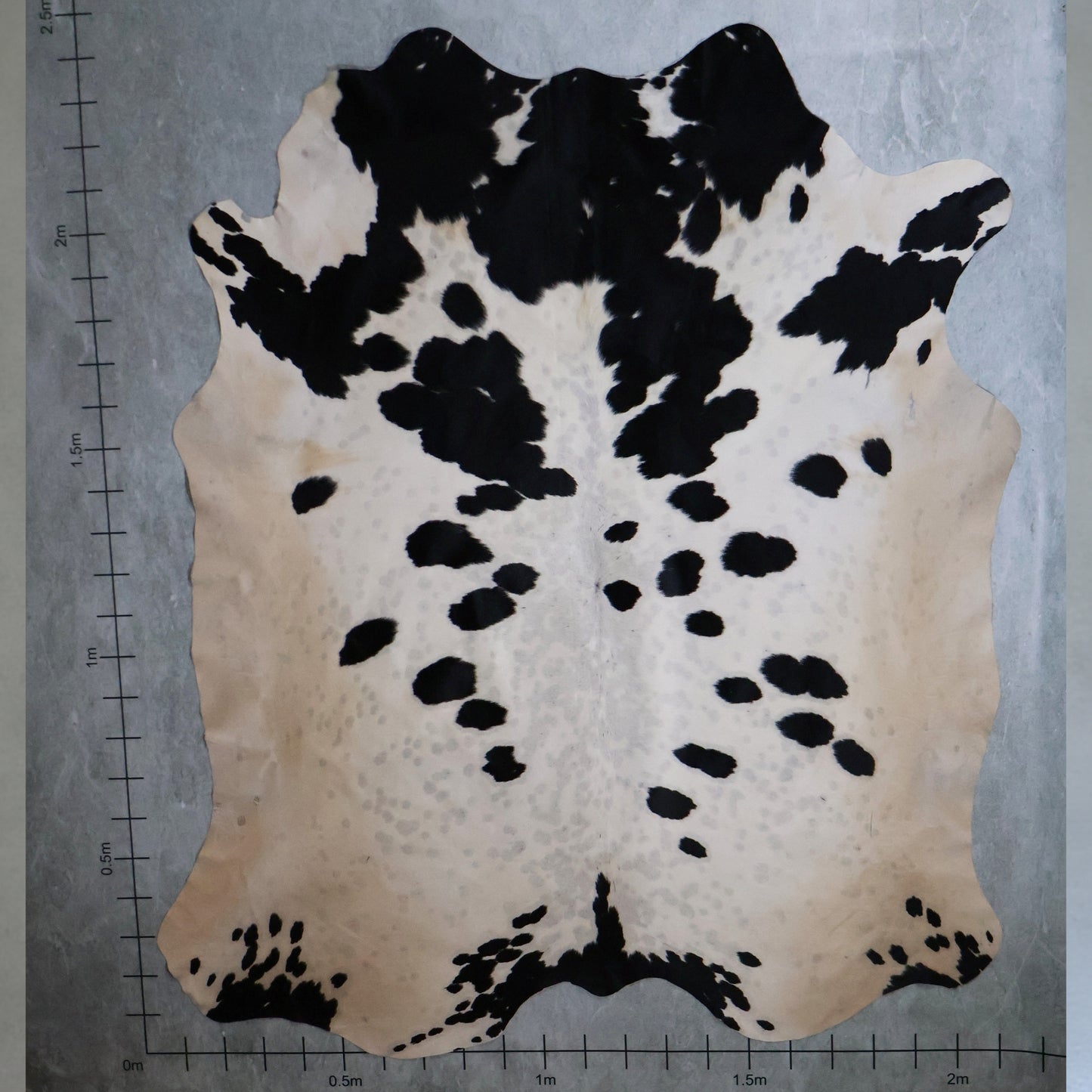 Premium Nguni Hide #AAG5250 (2.1m X 2.4m)