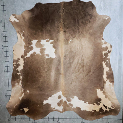 Premium Nguni Hide #AAG5258 (2.2m X 2.3m)