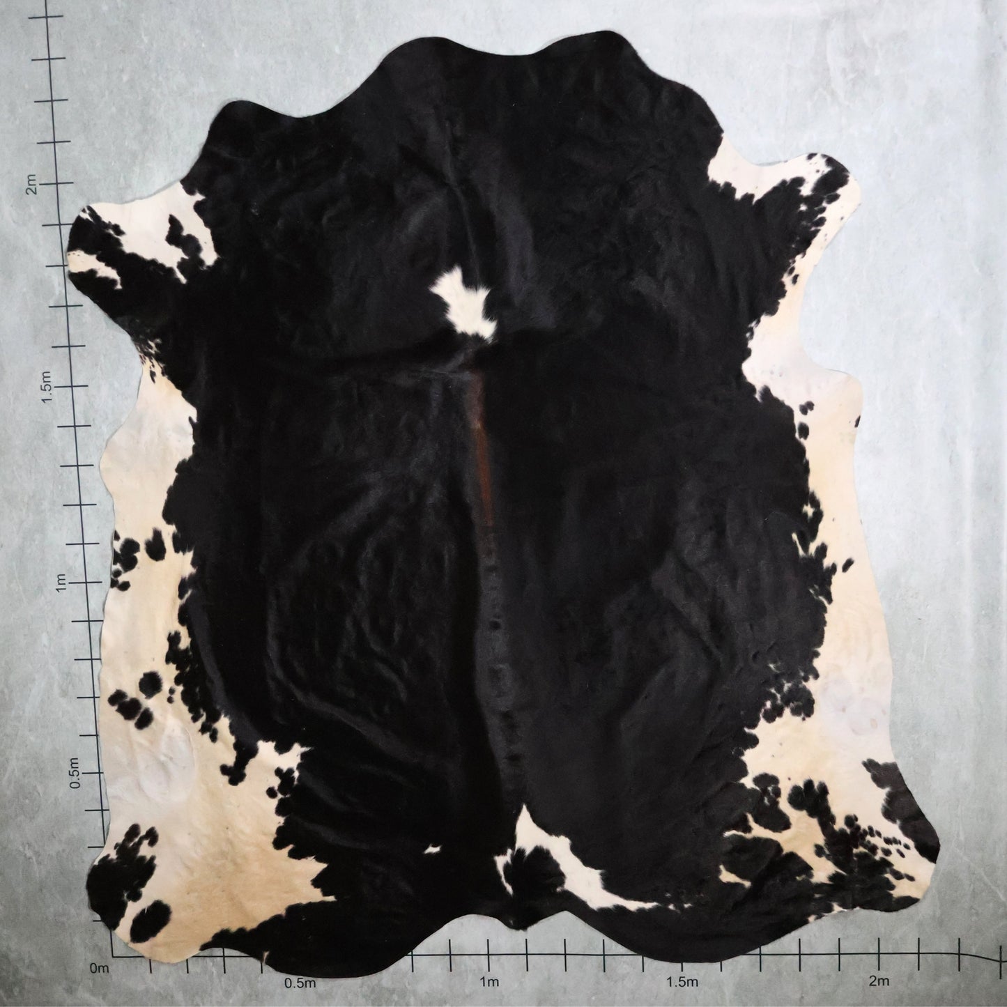 Premium Nguni Hide #AAG5276 (2.1m X 2.3m)