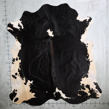 Premium Nguni Hide #AAG5276 (2.1m X 2.3m)