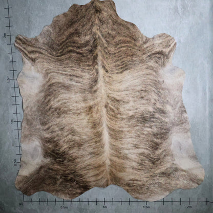 Premium Nguni Hide Brindle #AAG5287 (2.1m X 2.3m)