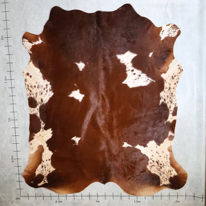 Premium Nguni Hide #AAG5300 (2.1m X 2.3m)