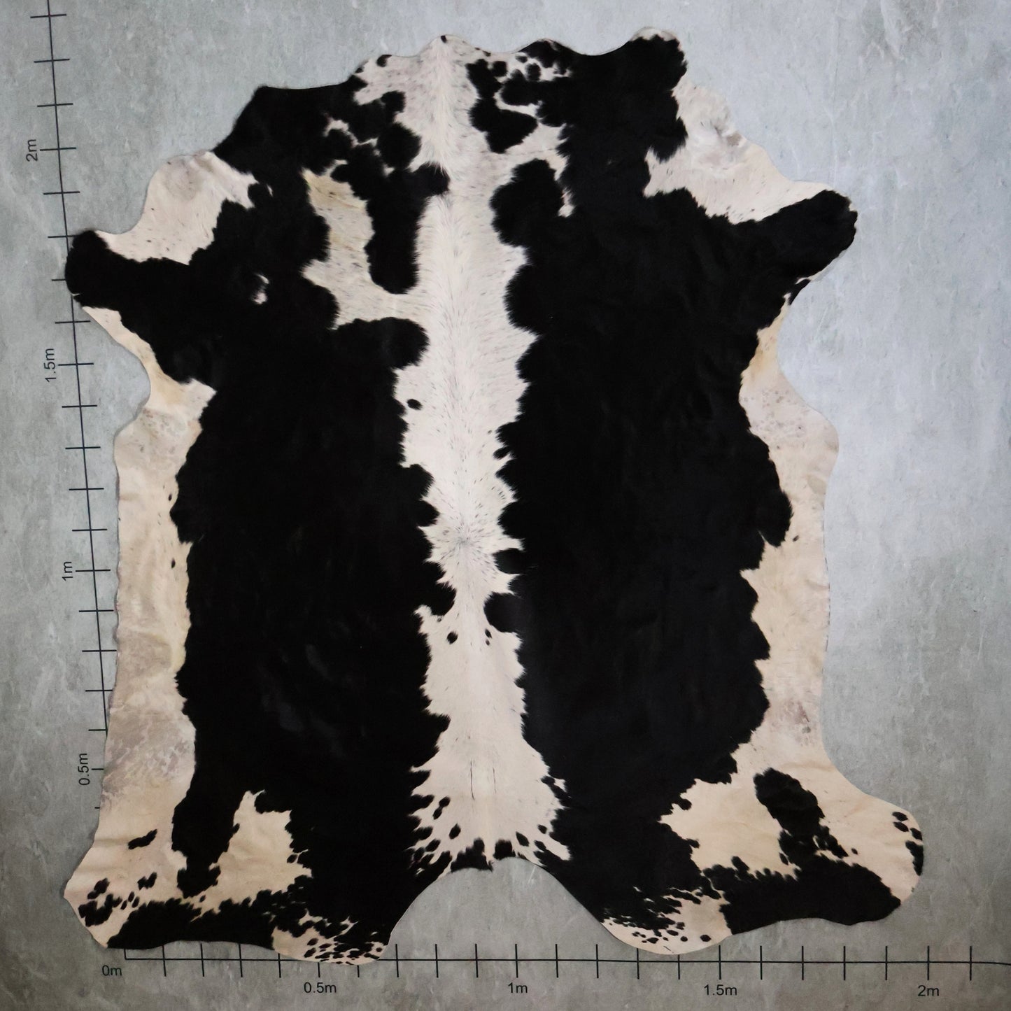 Premium Nguni Hide #AAG5304 (2.0m X 2.2m)