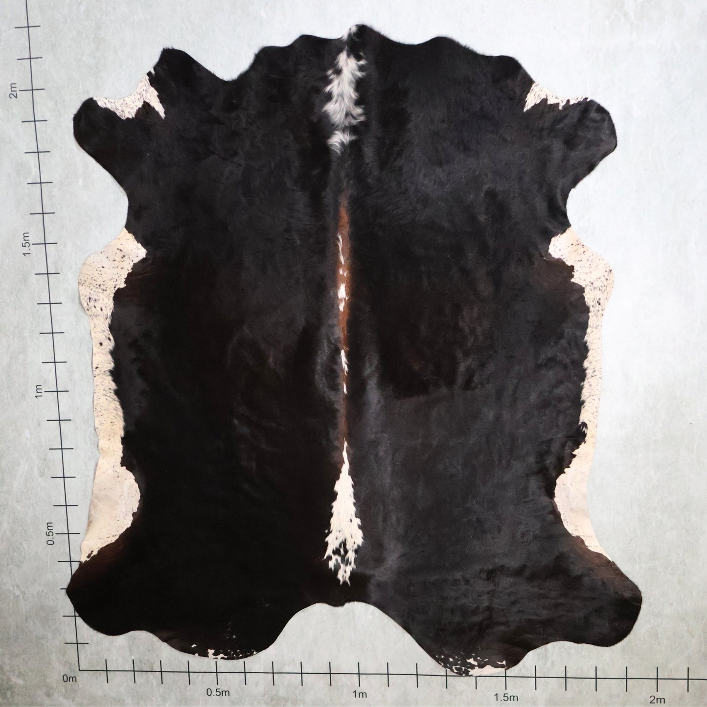 Premium Nguni Hide #AAG5315 (1.9m X 2.1m)