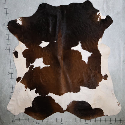Premium Nguni Hide #AAG5318 (2.2m X 2.4m)